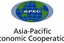 APEC 2017: Vietnam makes positive contributions to APEC