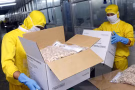 Vietnam works to realise export target of 188 billion USD