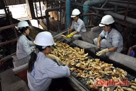 Finance Ministry turns down cassava industry requests
