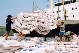 Vietnam’s rice exports drop in Q1