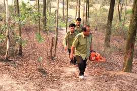 Ministry orders expanded forest-fire protection in dry season