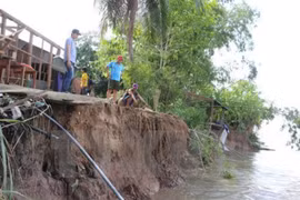 Mekong Delta struggles with erosion
