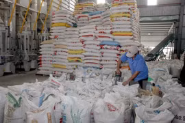 Vietnam to be among world’s largest rice producers: FAO