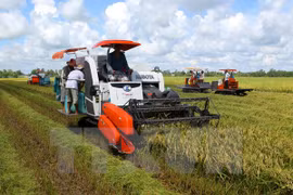 NA deputies discuss investment support for Mekong Delta