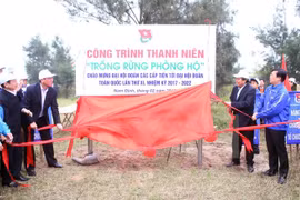 Young people called to join in planting trees