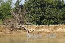 Khanh Hoa: More than 25 million USD for flooding, erosion prevention