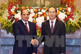 Ambassador: Vietnam-Egypt ties expected to grow strongly