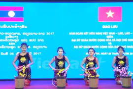 Art performance marks Vietnam-Laos diplomatic ties