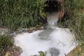 Lam Dong fines company for illegally discharging wastewater