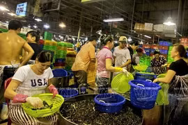HCM City boosts international cooperation in expanding Binh Dien market