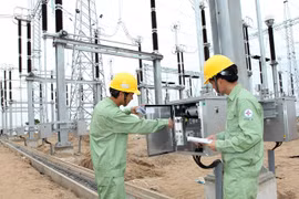 PM approves EVN business restructuring project