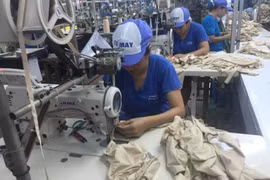 Apparel exports predicted to hit 30.5 billion USD