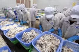 Vietnam’s exports forecast to hit 195 billion USD in 2017