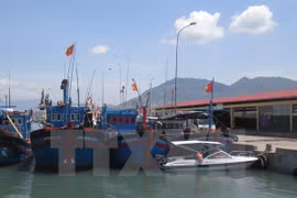 Thanh Hoa develops fishery logistics fleet 