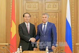 President hails Vietnam-Russia parliamentary ties 