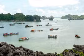 Work starts for big tourism complex in Cat Ba Islands 