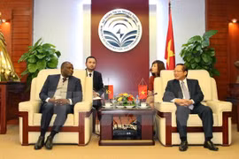 Vietnam, Angola eye IT, telecoms cooperation