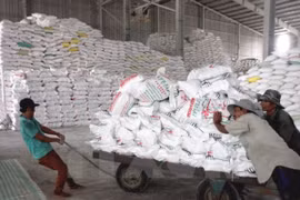 VN’s rice export price hits 3-year high