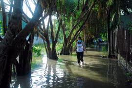 Cities not ready for climate change: experts