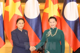 Vietnamese top legislator holds talks with Lao counterpart 