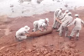 Thai Binh removes 250 kg wartime bomb