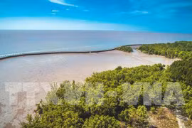 Ca Mau looks to attract investment in tourism 