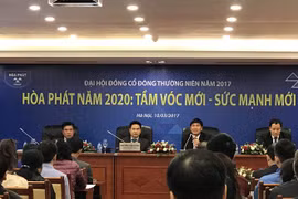 Hoa Phat group plans to raise capital for steel complex project