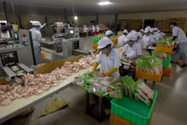 Experts urge private economy boost