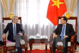 Deputy FM: Vietnam treasures relations with France 