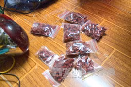 More than 12,000 meth pills seized in Quang Binh