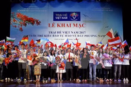 Vietnamese young expats join summer camp in Mekong Delta