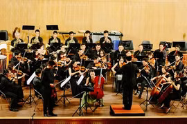 Two concerts feature artists of Vietnam, RoK