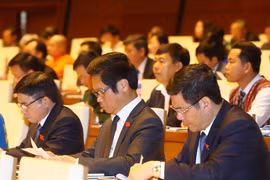 Reports on national situation, draft laws submitted to parliament