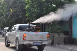 Ministry takes measures against summer infectious diseases