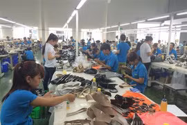 Leather, footwear exports could reach 26 billion USD by 2020