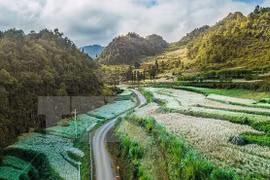 ADB helps improve lives in Vietnam’s northeastern provinces