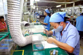 HCM City, Japan boost cooperation in administrative reform