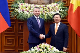 Deputy PM: Vietnam develops ties with Slovakia 