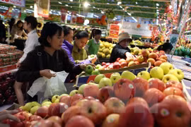 Domestic retailers face challenges 