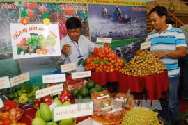 First agricultural trade fair opens in An Giang