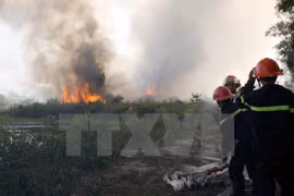 Thanh Hoa prevents forest fires during hot weather