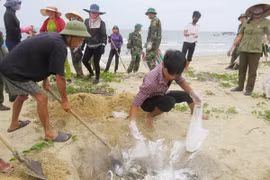 Bodies, individuals responsible for Formosa incident made public