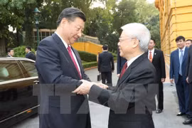Party chiefs Nguyen Phu Trong, Xi Jinping hold talks