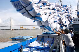 Upbeat signs for Vietnamese rice exports