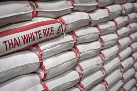 Thai Government helps farmers stabilise rice prices 