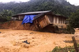 Vietnamese Embassy in Laos supports flood victims at home 