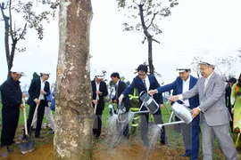 Hanoi launches tree-planting campaign
