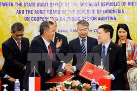 Vietnam, Indonesia step up audit cooperation