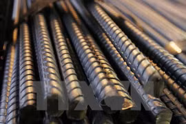 Hoa Phat Group posts growth in steel output, market share