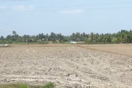 An Giang works to mitigate drought, salinity affects